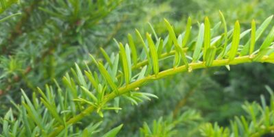 20170926_161016 20170926_161016